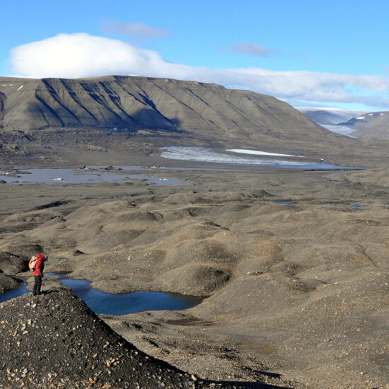 Oldest fossils of remarkable marine reptiles found in Arctic