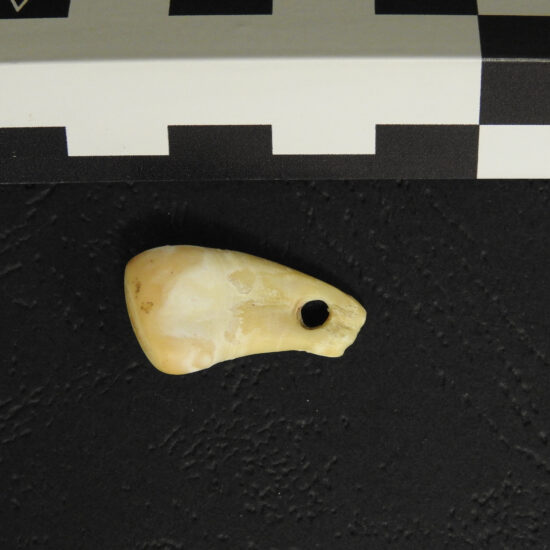 The pendant is 20,000 years old. Ancient DNA shows who wore it