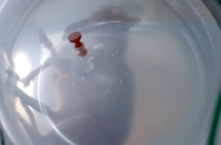 Spanish researchers aim to 'trick nature' with artificial womb