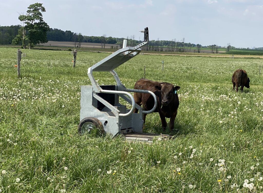 Irish Agritech Start-Up Secures €750,000 in Funding to Commercialise Automatic Weighing Device for Beef Production Sector