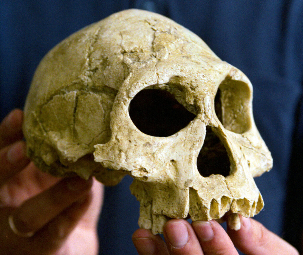 A frigid apocalypse doomed early humans in Europe