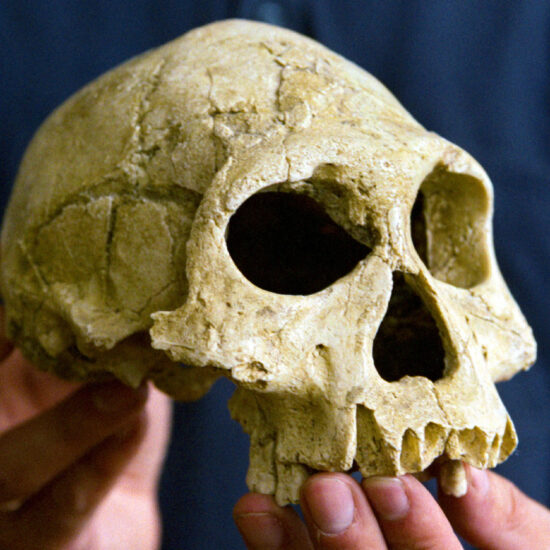 A frigid apocalypse doomed early humans in Europe