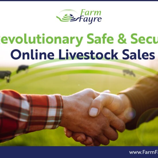 Irish AgTech Start-up Launches Innovative Field-to-Field Livestock Sales Platform