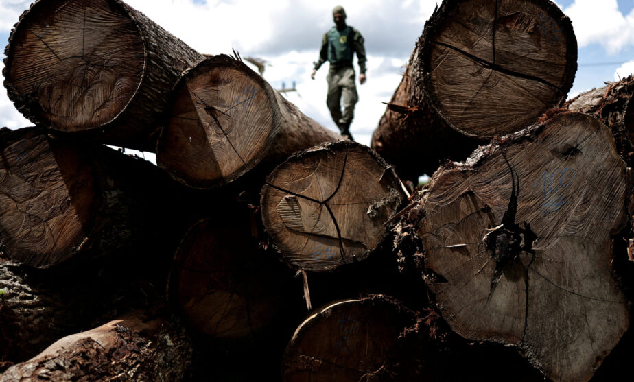 Scientists launch research effort at COP28 for Congo rainforest