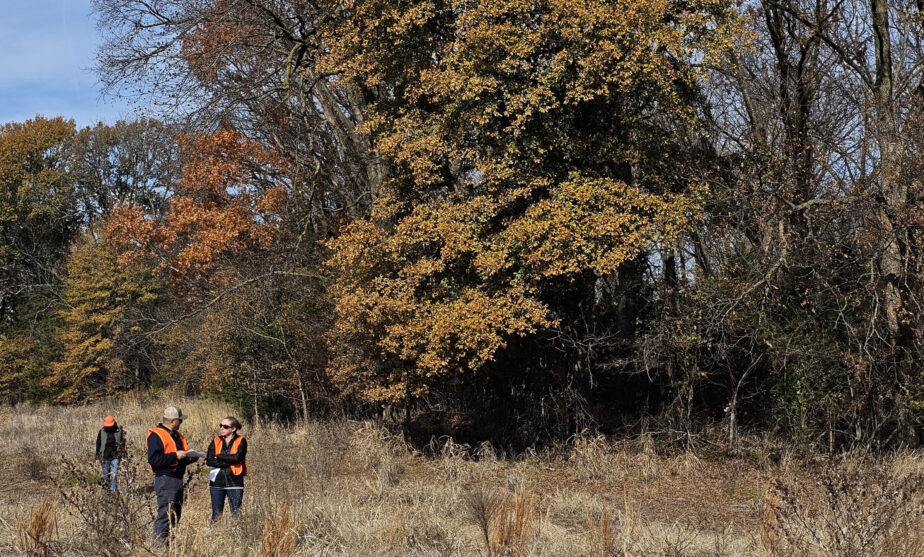 By David French (Reuters) - Microsoft Corp has struck a deal with offsets startup Chestnut Carbon to acquire credits linked to the removal of carbon dioxide from the atmosphere, the firms said Wednesday, as part of the tech giant's push to meet its sustainability goals. Unlike other offset deals that generate credits by preserving trees, Chestnut plants new trees on land previously farmed or under other usage, providing greater environmental benefit, its founder Ben Dell said in an interview. 