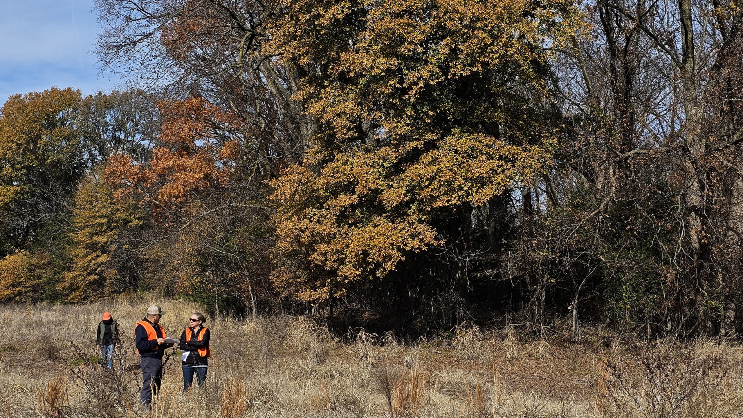 By David French (Reuters) - Microsoft Corp has struck a deal with offsets startup Chestnut Carbon to acquire credits linked to the removal of carbon dioxide from the atmosphere, the firms said Wednesday, as part of the tech giant's push to meet its sustainability goals. Unlike other offset deals that generate credits by preserving trees, Chestnut plants new trees on land previously farmed or under other usage, providing greater environmental benefit, its founder Ben Dell said in an interview. "This is, I believe, the largest U.S. afforestation project ever registered," Dell said. Under the agreement, Microsoft will acquire carbon removal credits for a period of 15 years from Chestnut from trees planted in the Mississippi Alluvial Valley. The first credits will be delivered to Microsoft in three years, to allow for the trees planted to mature, said Dell. The parties declined to say how much Microsoft was paying for the credits, which equate to removing up to 2.7 million tons of carbon through the life of the contract. "We are excited to collaborate with Chestnut and its Sustainable Restoration Project for high-quality, nature-based solutions located in the United States," said Brian Marrs, senior director of energy & carbon removal at Microsoft. Microsoft sees carbon removal programs as a key part of achieving its goal to be carbon negative by 2030, meaning that it will be contributing to the net removal of greenhouse gases from the atmosphere. In 2022, it contracted for more than 1.4 million metric tons of carbon removal, according to its website. These removal techniques include afforestation measures and technological solutions such as direct air capture. Microsoft is the first client of Chestnut, which is backed by private equity firm Kimmeridge Energy Management. The revenue generated by Chestnut will allow some of Kimmeridge's $200 million initial capital commitment to the company to be redeployed into new land purchases for Chestnut, said Dell, who is also Kimmeridge's managing partner.