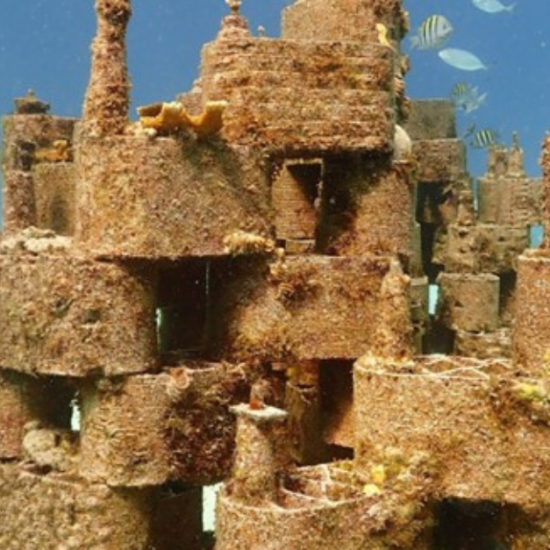 Revolutionizing coral conservation: the artistic approach of Rrreefs