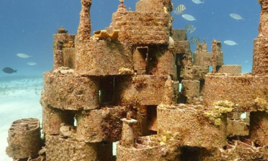 Revolutionizing coral conservation: the artistic approach of Rrreefs