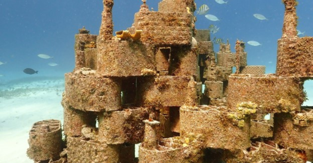 Revolutionizing coral conservation: the artistic approach of Rrreefs