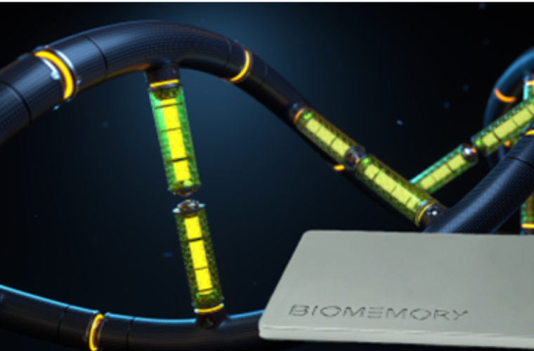 Biomemory: revolutionizing data storage with DNA cards
