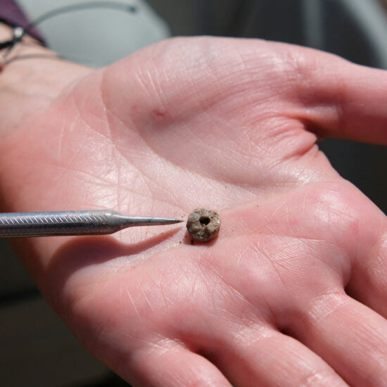 Ancient humans had piercings just like us, archaeologists in Turkey find