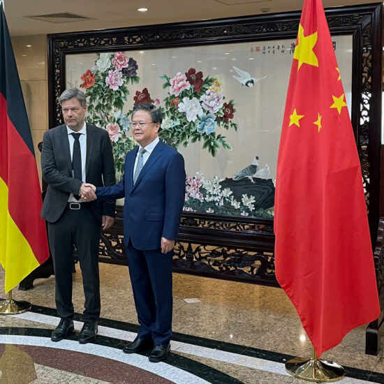 EU tariffs on China not a 'punishment', says German economy minister