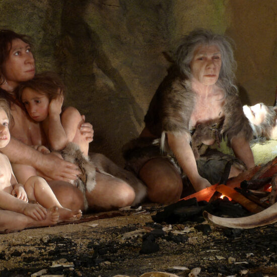 Fossil of child with Down syndrome hints at Neanderthal compassion