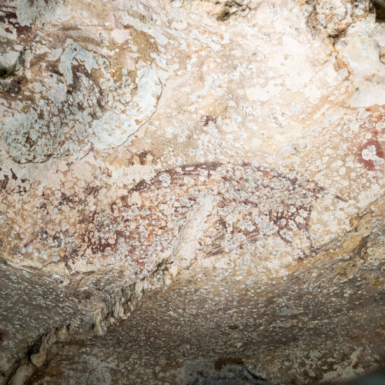 World's oldest cave painting in Indonesia shows a pig and people