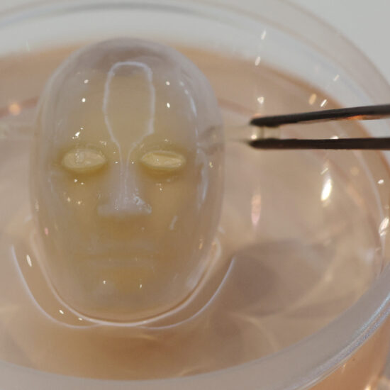 Say cheese: Japanese scientists make robot face 'smile' with living skin