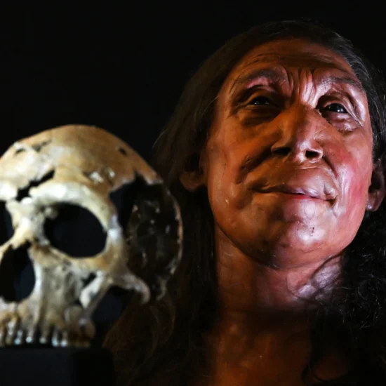 Reconstructing the Face of a 75,000-Year-Old Neanderthal Woman