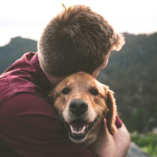 Will AI one day enable us to talk to animals?