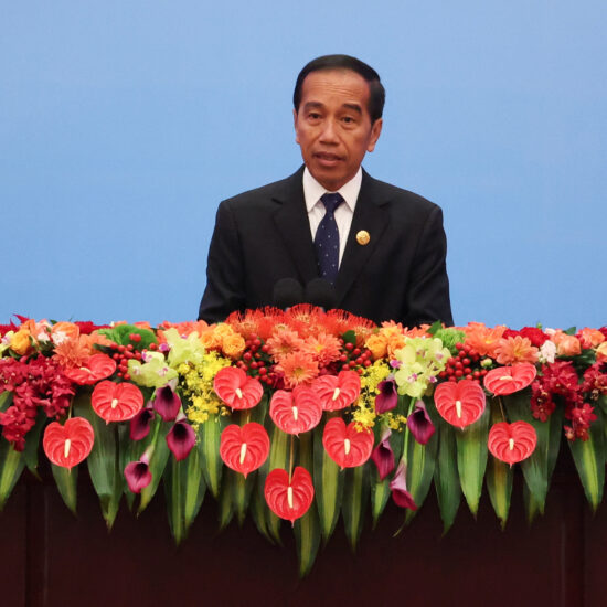 Indonesia president launches China-based BTR's anode plant