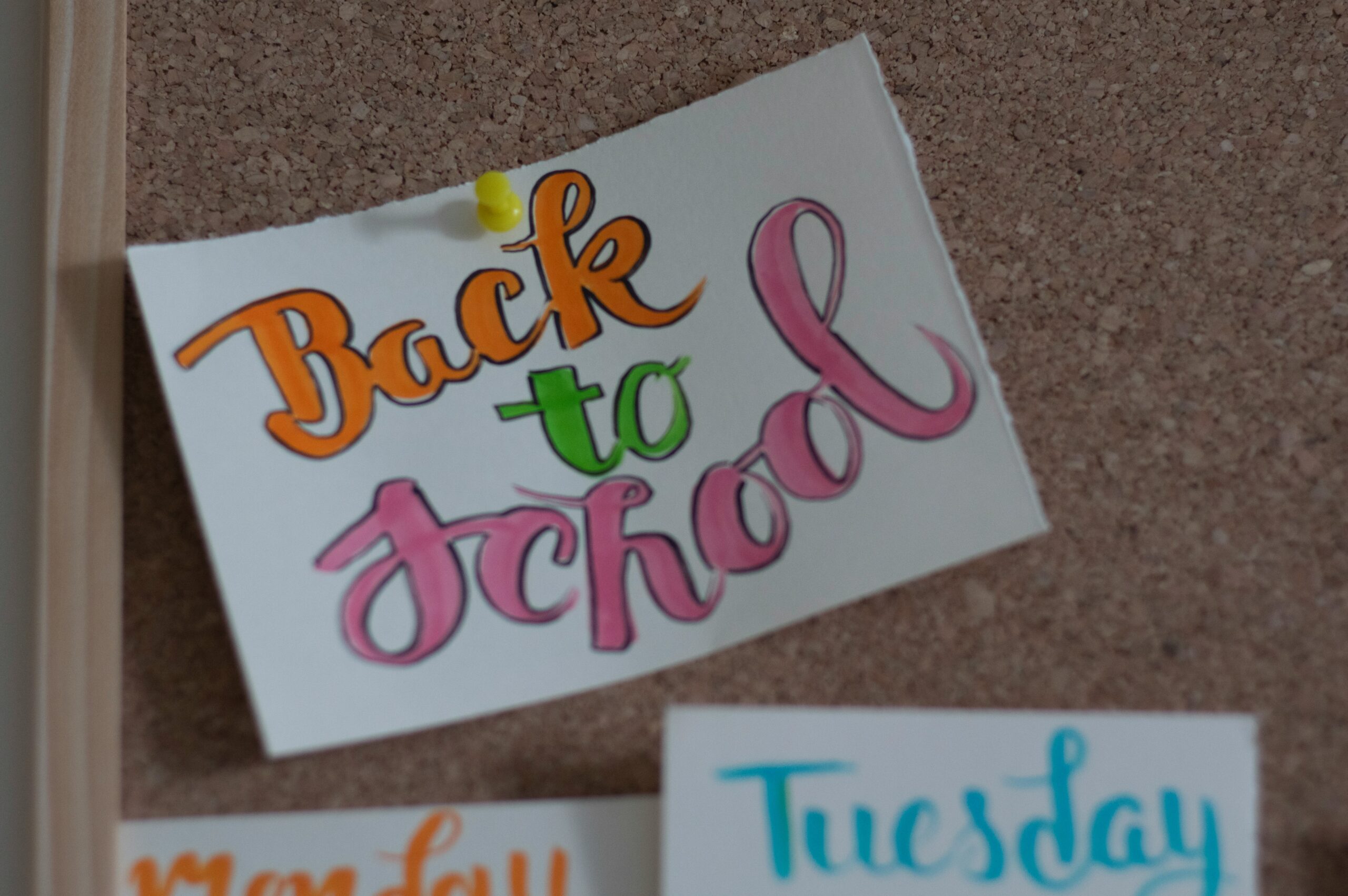 Best back-to-school apps for students in 2024