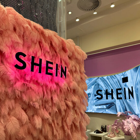 US safety commissioners call for investigation into Shein, Temu