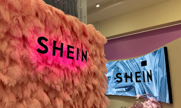 US safety commissioners call for investigation into Shein, Temu