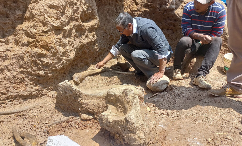 Researchers uncover remains of Ice Age mastodons in Peru