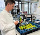 Belgian climate scientists grow the pears of the future