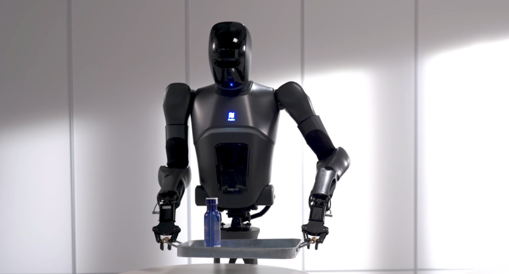 Humanoid robot