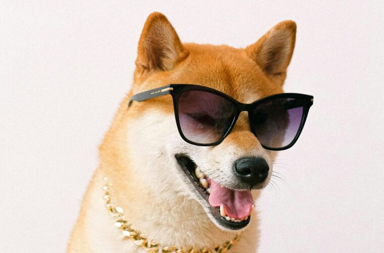 Dogecoin gains momentum on the back of Trump’s DOGE