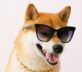 Dogecoin gains momentum on the back of Trump’s DOGE