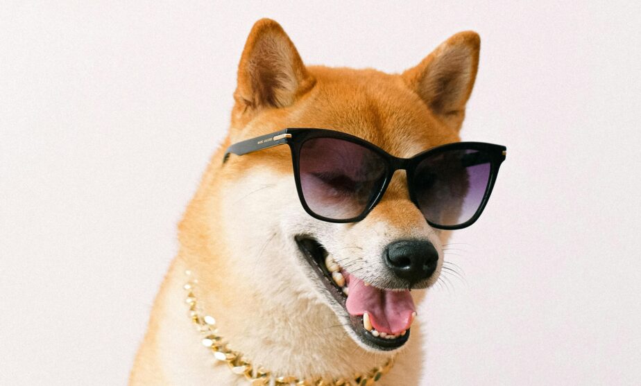 Dogecoin gains momentum on the back of Trump’s DOGE