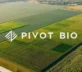 Pivot Bio launches new retail distribution partnerships