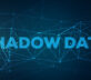 Shadow data