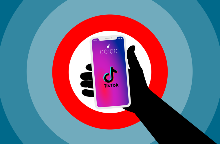 TikTok will not be acquired by Elon Musk